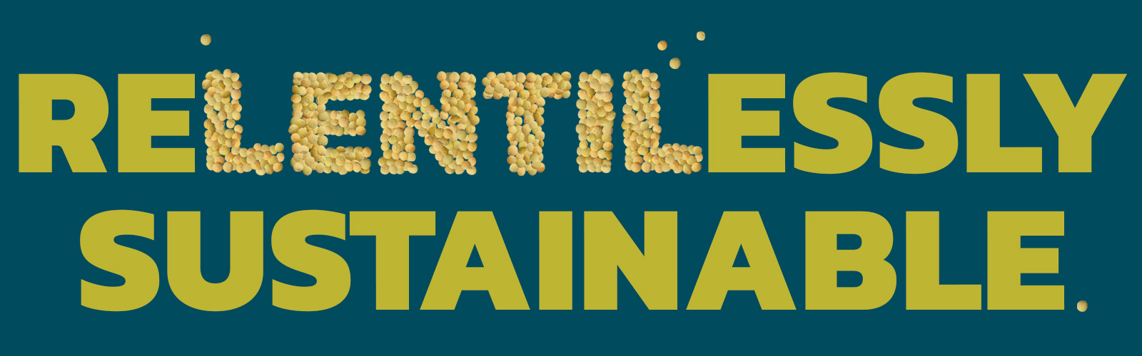 RELENTILESSLY SUSTAINABLE